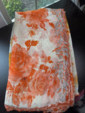 Fluorescent Saree with scallop Embroidered Border